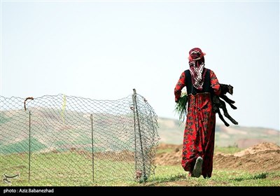 Iranian Nomads Move to Mountainous Regions as Summer Looms