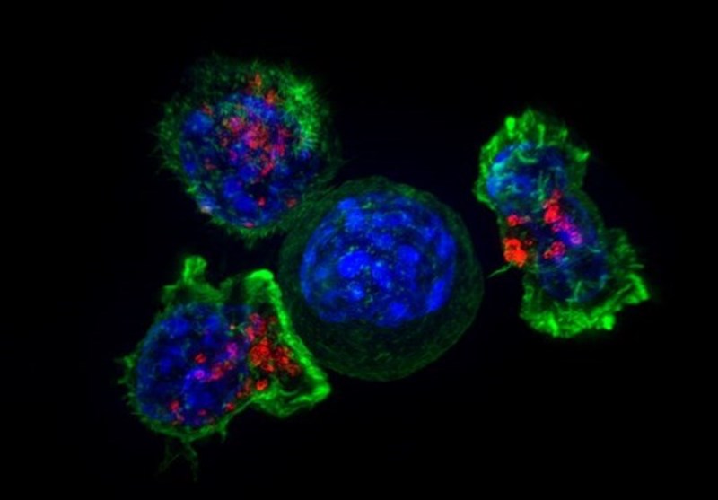 New Approach Described to Targeting Tumors