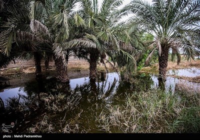 آخرین وضعیت روستای سیل زده کوت امیر