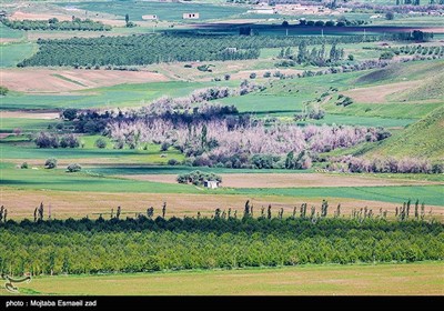 تصاویر هوایی طبیعت بهاری ارومیه