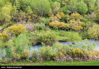 تصاویر هوایی طبیعت بهاری ارومیه