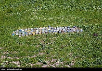 تصاویر هوایی طبیعت بهاری ارومیه