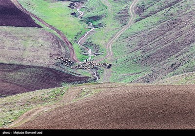 تصاویر هوایی طبیعت بهاری ارومیه