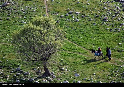 دشت گهواره در منطقه بسطام لرستان