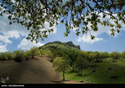 دشت گهواره در منطقه بسطام لرستان