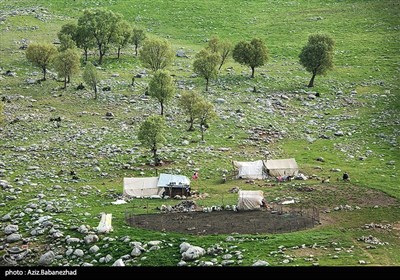 دشت گهواره در منطقه بسطام لرستان