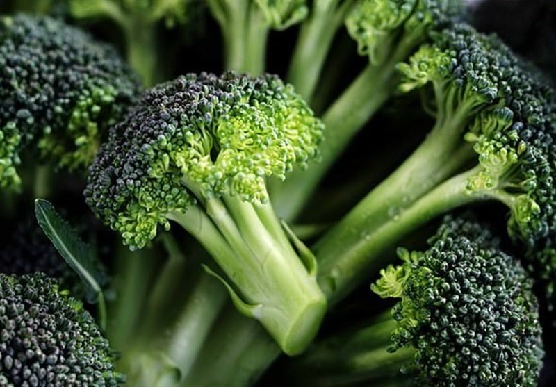 Key to Treating Schizophrenia May Be Found in Broccoli
