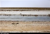 گاوخونی و ده‌ها سوال بی‌جواب؛ باران تنها چتر نجات تالاب خشک مرکز ایران است