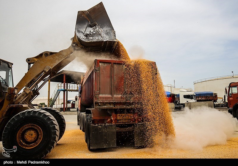 ابهامات جدی در مبدا واردات غلات/ حذف گواهی مبدا امنیت غذایی کشور را به خطر می‌اندازد
