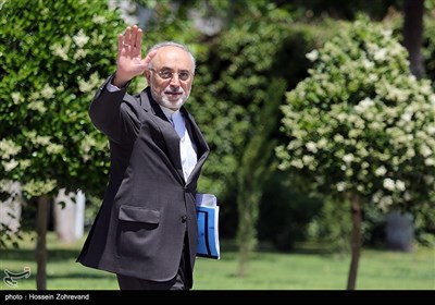  علی‌اکبر صالحی رئیس سازمان انرژی اتمی در حاشیه جلسه هیئت دولت 