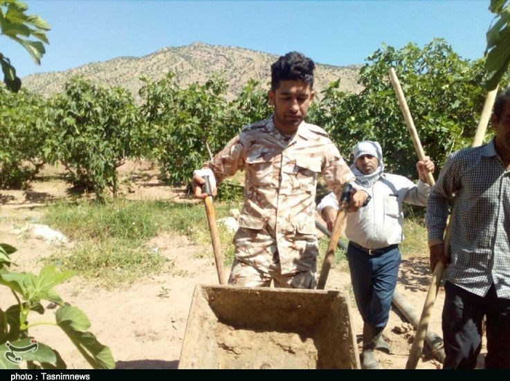 اعزام گروه‌های جهادی کوهدشت به بزرگ‌ترین انجیرستان ایران به‌روایت تصویر