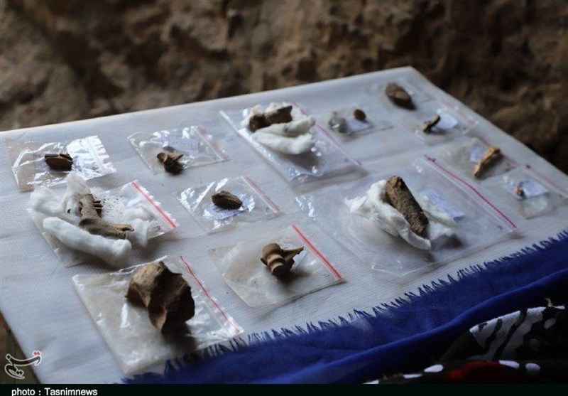 رونمایی از جمجمه کشف‌شده انسان هوشمند در غار کلدر خرم‌آباد به‌روایت تصویر