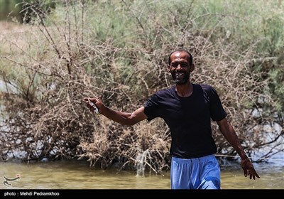 تلف شدن هزاران ماهی در مناطق سیل زده خوزستان
