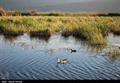 تالاب زریوار نگین غرب ایران