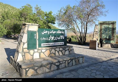 تالاب زریوار نگین غرب ایران
