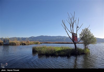 تالاب زریوار نگین غرب ایران