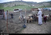 گام دوم انقلاب توسط مبلغین زنجانی تبیین شود