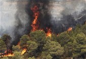 علت آتش‌سوزی ‌اراضی ملی ‌زیر‌اشکوب مشخص نشد