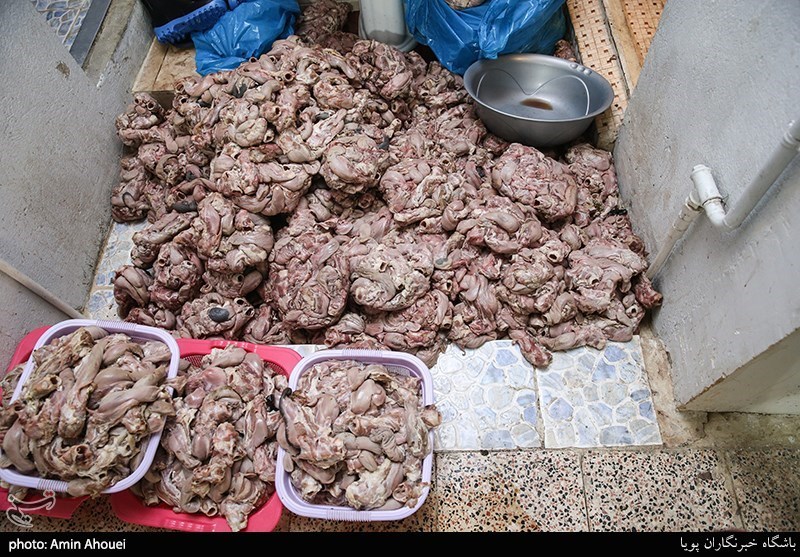 کشف حدود 6 تن گوشت و مرغ غیربهداشتی در غرب تهران
