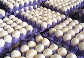 آذربایجان شرقی در رتبه سوم کشوری تولید تخم مرغ قرار دارد
