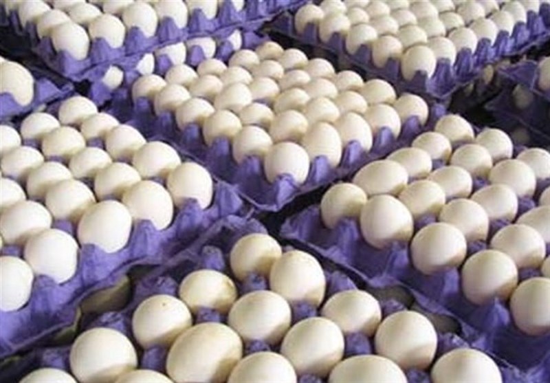 آذربایجان شرقی در رتبه سوم کشوری تولید تخم مرغ قرار دارد