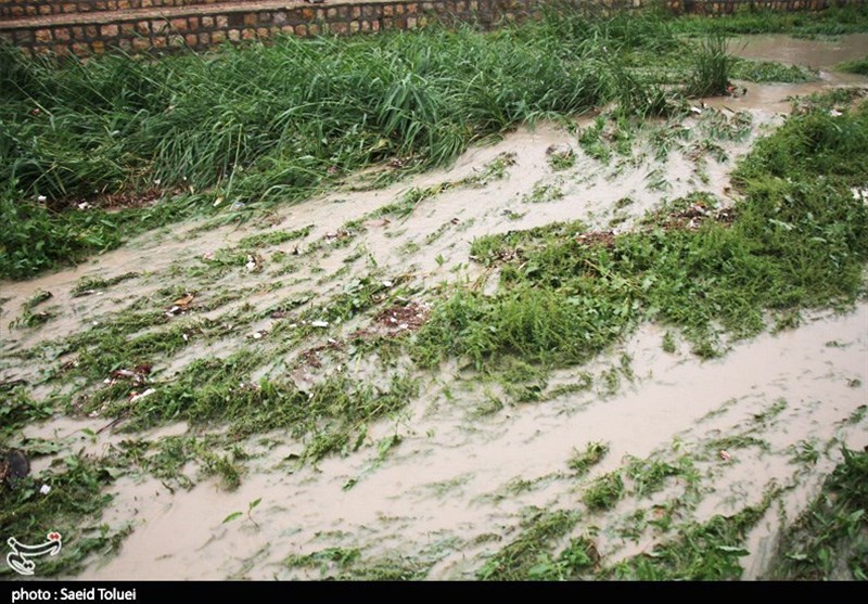 یک میلیارد تومان به کشاورزان خسارت دیده از سیل در استان ایلام پرداخت شد