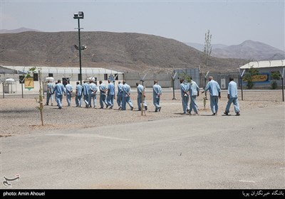  مرکز بازپروری و اردوگاه شهید زیادیان 