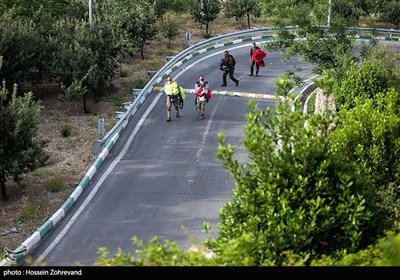 تكاوران،پرش،ميلاد