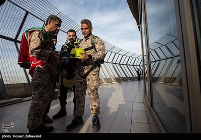 تكاوران،پرش،ميلاد