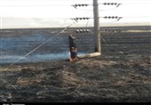 آتش‌سوزی در مزارع کشاورزی زیدون/11 پایه‌ برق آتش گرفت+تصاویر