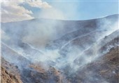 خراسان جنوبی| 10 هکتار از پوشش گیاهی منطقه حفاظت شده شاسکوه در آتش سوخت