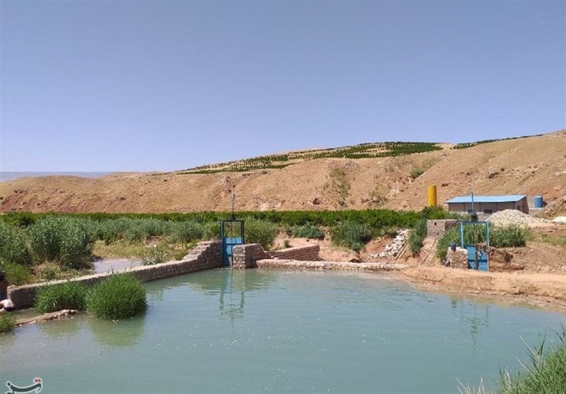کردستان| 4300 هکتار باغ در اراضی پایین‌ دست سد آزاد ایجاد می‌شود