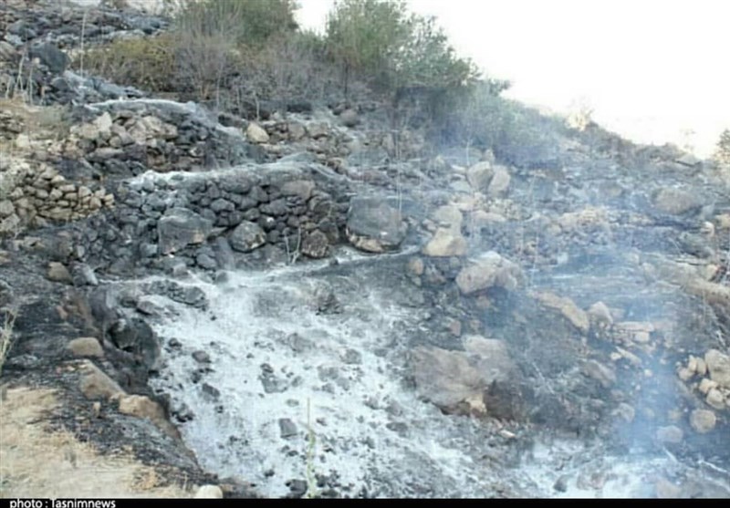 کهگیلویه و بویراحمد| جنگل‌های دیل و گناوه لری گچساران‌ بعد از 24 ساعت در آتش می‌سوزند
