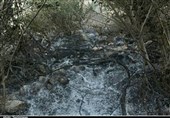 خوزستان| آتش دوباره در کوه منگشت ایذه شعلهور شد