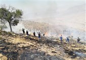 آتش‌سوزی ارتفاعات کوه‌سیاه و جنگل‌های ‌منطقه دشتی فرا‌گرفت