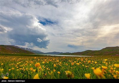 در حال حاضر نوعی ماهی قزل آلای رنگین کمان که از زمره بهترین نوع ماهیان دنیا می باشد در آن پرورش داده می شود که هر ساله تعداد زیادی از مردم جهت ماهیگیری و کوهنوردی و استفاده از مناظر بدیع و بی نظیر منطقه و هوای خنک و مطبوع آن به دریاچه روی می آورند.