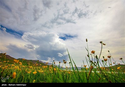 در حال حاضر نوعی ماهی قزل آلای رنگین کمان که از زمره بهترین نوع ماهیان دنیا می باشد در آن پرورش داده می شود که هر ساله تعداد زیادی از مردم جهت ماهیگیری و کوهنوردی و استفاده از مناظر بدیع و بی نظیر منطقه و هوای خنک و مطبوع آن به دریاچه روی می آورند.