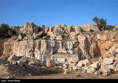 میراث انسان