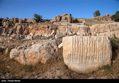 میراث انسان