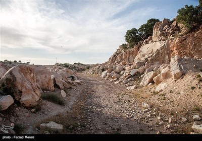 میراث انسان