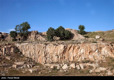 میراث انسان