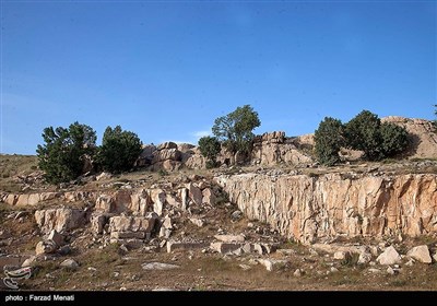 میراث انسان