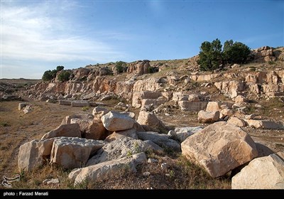میراث انسان