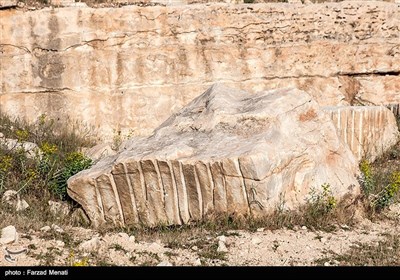میراث انسان
