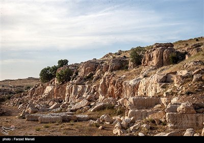 میراث انسان