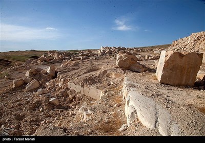 میراث انسان