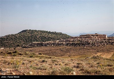 میراث انسان