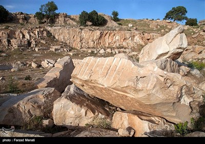 میراث انسان