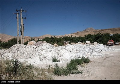 میراث انسان