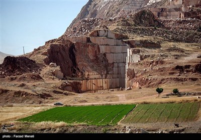میراث انسان